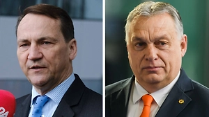 Сикорский «наградил» Орбана «орденом Ленина» после саммита ЕС