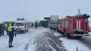 Названа предварительная причина смертельного ДТП с автобусом и фурами под Омском