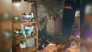 Житель Удмуртии устроил салют в квартире и чуть не сжёг кота