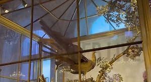 Для лидеров стран СНГ в Эрмитаже сделали исключение и завели часы «Павлин»