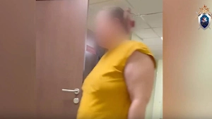 Бросившая на голодную смерть пятимесячного ребёнка мать из Норильска признала вину