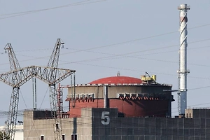 В Совфеде сочли миной замедленного действия совместный с США контроль над ЗАЭС