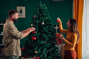 Роспотребнадзор рассказал, можно ли заразиться клещами с новогодней ёлки