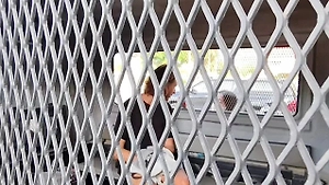 Россиянина в Таиланде приговорили к 12 годам за страшное убийство сына под винтами катера