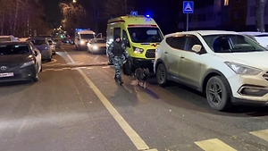 Жертвами взрыва полицейской машины в Москве стали молодые офицеры