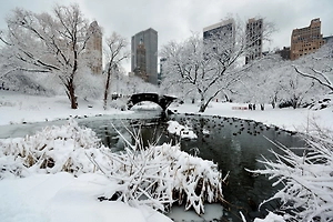 Более 5 тысяч авиарейсов задержано в США из-за снегопадов на северо-востоке