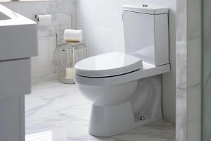 Россиянам объяснили, почему нельзя смывать мусор в унитаз