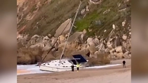 Стая косаток-убийц напала на яхту семьи у побережья Португалии