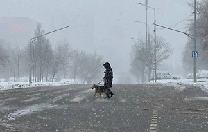 «Отдача» после аномалии: Учёный предрёк снежную зиму в России