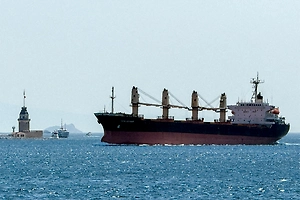 В МИД России сочли террористическими атаки на суда в экономической зоне Турции