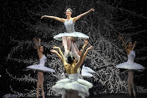 «Настоящая элита воюет с нацизмом»: Миронов призвал выдать билеты на «Щелкунчик» семьям бойцов СВО