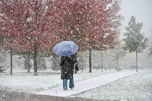 В Москве и Подмосковье объявили жёлтый уровень погодной опасности