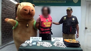 Перуанская капибара в погонах скрутила наркоторговца прямо у него дома