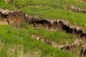 В столице Индии Нью-Дели произошло землетрясение магнитудой 4,0