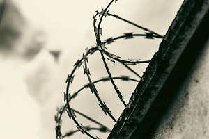 Закопал в лесу и продал квартиру: Убийцей пропавшей 9 лет назад калининградки оказался её парень