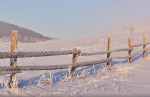 В Мордовии мужчина убил жену во время ссоры, отвёз тело в поле и сжёг