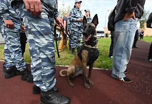 В 2025 году в России предотвратили более 20 терактов