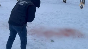 Появилось видео гибели 9-летней девочки, которую загрызли собаки в Ставрополе