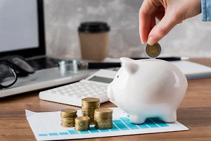 Экономист оценил легальный способ заработать более 100 тысяч рублей в 2025 году