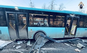 Дело завели после смертельного ДТП в Петербурге, где автобус въехал в остановку
