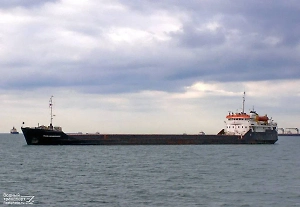 В Росморречфлоте прояснили ситуацию с получившим пробоину в Азовском море сухогрузом