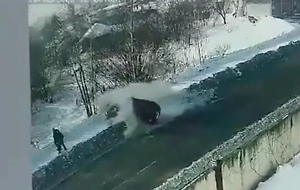 На видео попало, как авто в полёте сбило беременную мать с ребёнком на Кузбассе