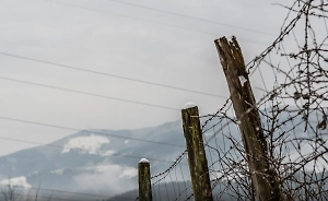 Финляндия не будет открывать границу с Россией, опасаясь «потока мигрантов»