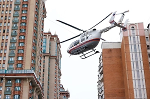 После взрыва в «Алых Парусах» пропал бульдог одной из пострадавших