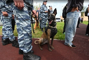 В России предложили сажать «закладчиков» уже с 14 лет