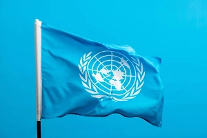 Рогов обвинил ООН в принятии «позорной» резолюции по Украине