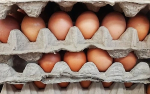 В США похитили дефицитных яиц на 40 тысяч долларов