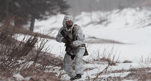 Страны НАТО тайно обсудили ввод войск в Гренландию из-за Трампа, но испугались собственных мыслей