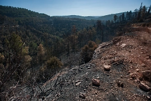 Десятки человек пропали после схода оползня в провинции Китая