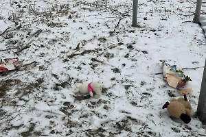 В Муроме двое малолетних детей выпали из окна третьего этажа