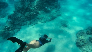 Одинок — значит болен: Российским туристам объяснили, как не стать жертвой акулы