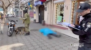 «Собаке — собачья смерть»: Царёв коротко отреагировал на убийство нациста Ганула