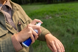 Чеснок, лаванда и эфирные масла: Инфекционист назвала народные методы борьбы с клещами