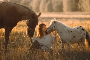 Соната, Север и Бубочка. Пронзительная история россиянки, которая спасает лошадей от мясорубки