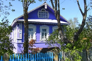 От штрафа до изъятия: Дачникам напомнили об ответственности за сорняки 