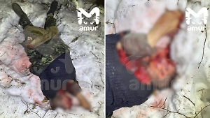 Опубликованы фото и видео из Приморья, где тигр растерзал депутата