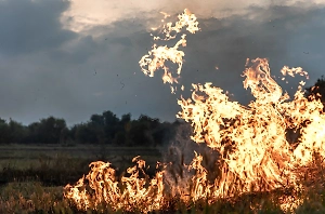 В Ростовской области потушили пожар в поле после падения БПЛА