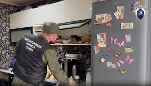 СК завершил следствие по делу о гибели 4 детей от дихлофоса под Красноярском