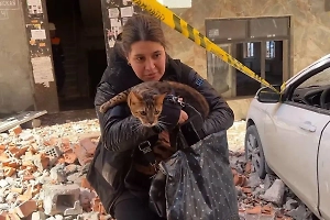 В Махачкале спасли кота, который cпрятался под кровать во время взрыва в доме