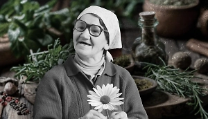 6 копеечных трав, которые заменят дорогие лекарства: Бабушкины хитрости в народной медицине