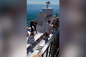 Экипаж затонувшего в Хургаде батискафа признался в неумении плавать за минуты до трагедии