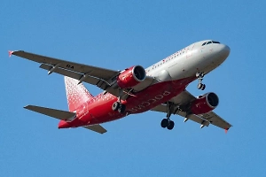 Негостеприимные омские птицы помешали приземлиться самолёту из Петербурга