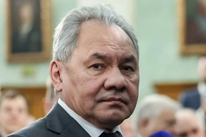 Шойгу пообещал Вулину помочь урегулировать обстановку в Сербии