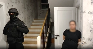 В России накрыли агентство с нянями-нелегалкамим и его миллионершу-владелицу