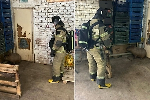 Вольер с капибарами горел в Ростове-на-Дону