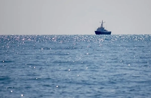 В Кремле высказались о перспективах «воскрешения» Черноморской инициативы 